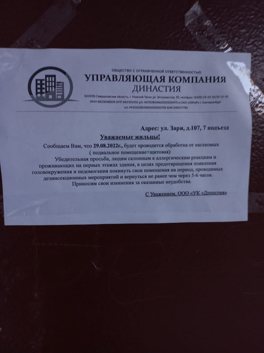 Деньги только списывают»: жители дома на Вагонке пожаловались на  некачественную дезинсекцию