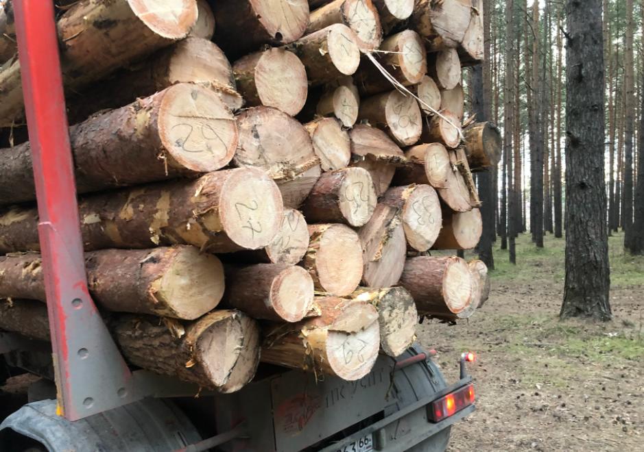 Жители Новой Кушвы опасаются повторения сосьвинской трагедии -