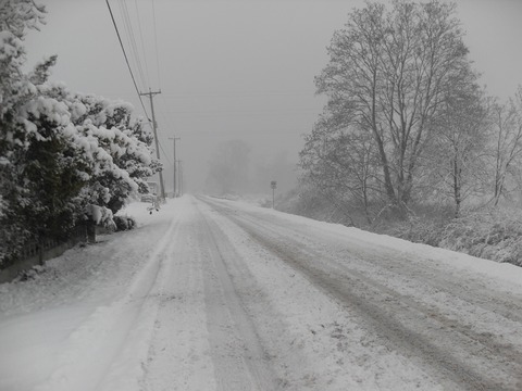 снежная дорога