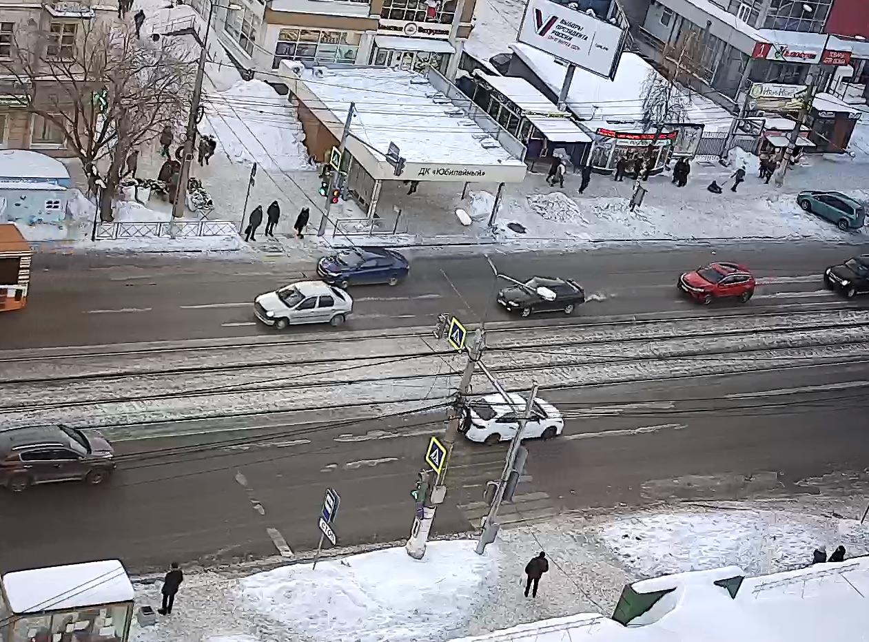 Бездомные собаки на улицах Тагила