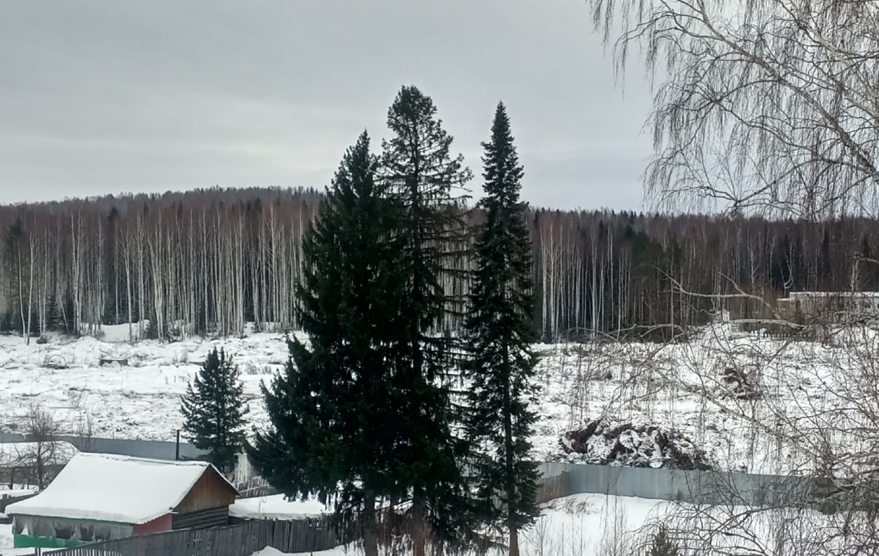 Тагильские власти не торопятся восстанавливать шламонакопитель  Черноисточинского гидроузла