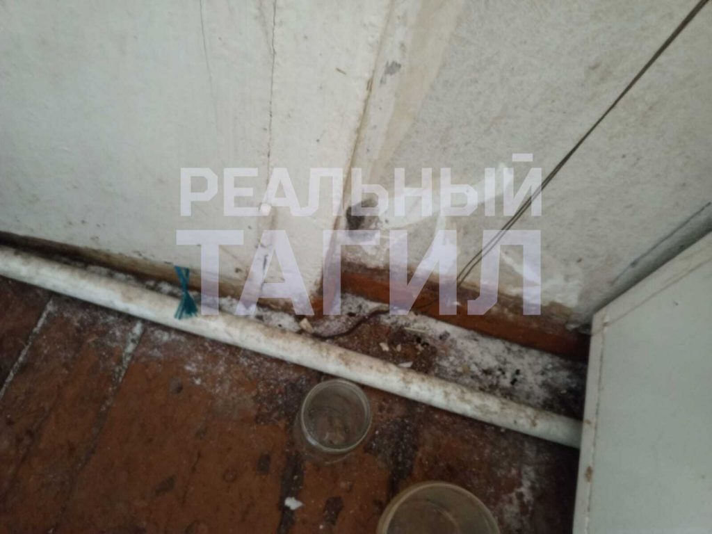 Свердловские власти пообещали жителям Вагонки горячую зиму - В Свердловской области подходят к концу работы по модернизации коммунальной инфраструктуры. Отопление, холод, труба, батарея, тепло свердловская область