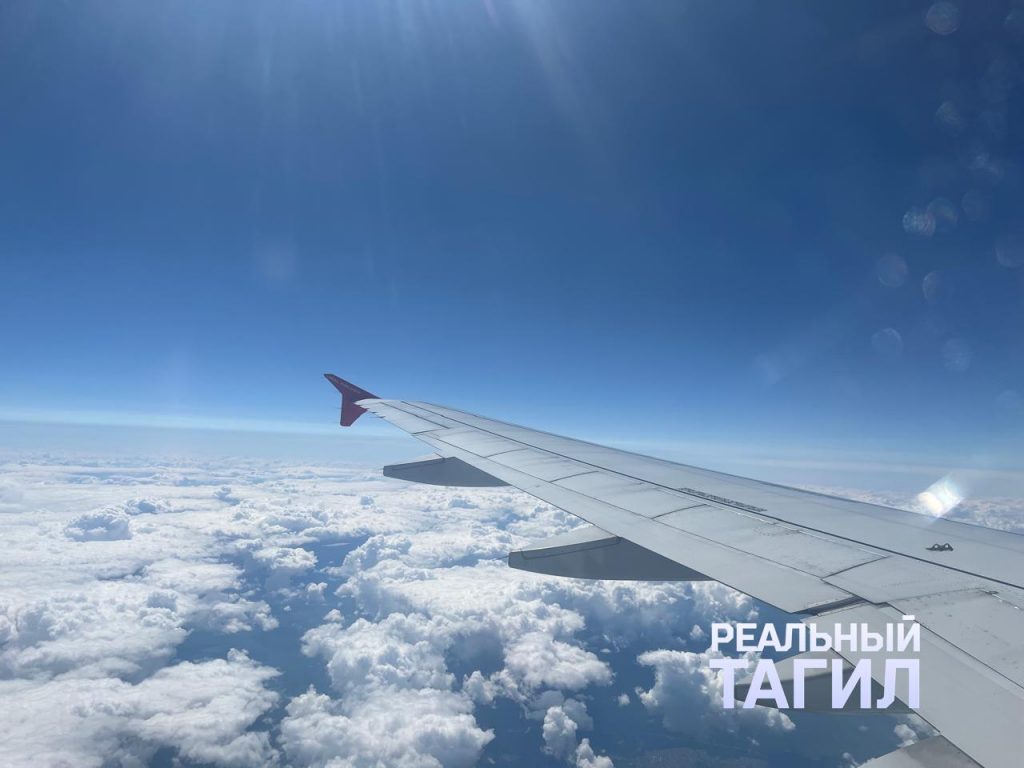 Пассажир из Екатеринбурга устроил дебош и повредил оборудование в самолёте - В аэропорту Кольцово транспортная полиция возбудила сразу два уголовных дела против 40‑летнего жителя Екатеринбурга. Мужчина устроил скандал на рейсе из Пхукета и повредил табличку «Выход» в салоне лайнера. Ущерб авиакомпания оценила более чем в 20 000 рублей. самолет