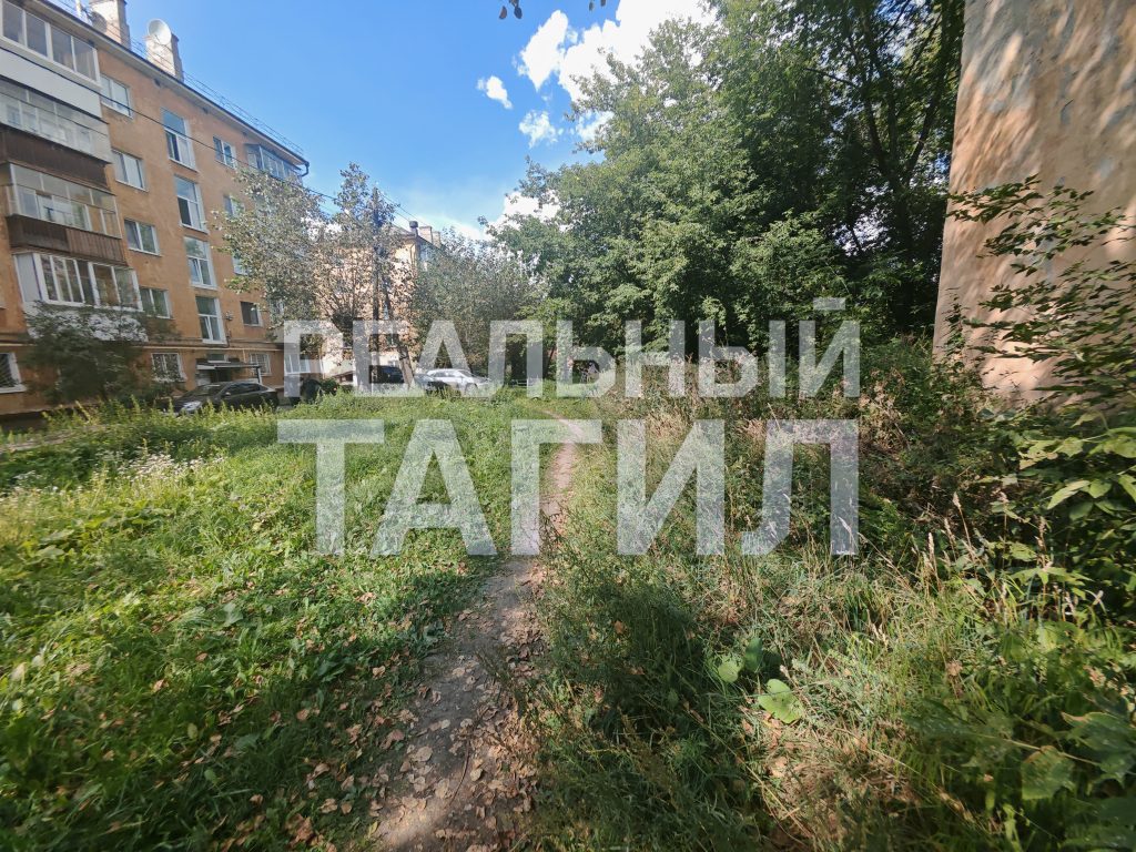 Тагильская мэрия «проворонила» центр города: заросли травы возмущают жителей - Жильцы многоквартирных домов выразили недовольство работой мэрии Нижнего Тагила из-за неудовлетворительного состояния придомовых территорий: в течение всего летнего периода не производился покос травы. Тагильская мэрия «проворонила» центр города: заросли травы возмущают жителей -