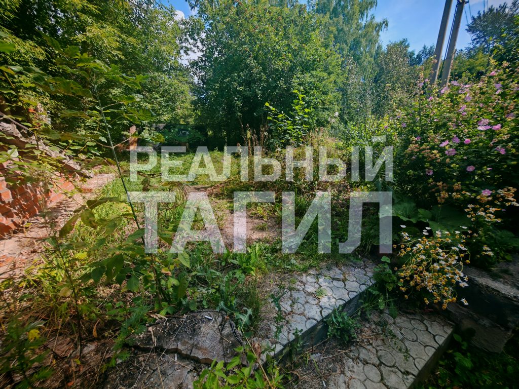 Тагильская мэрия «проворонила» центр города: заросли травы возмущают жителей - Жильцы многоквартирных домов выразили недовольство работой мэрии Нижнего Тагила из-за неудовлетворительного состояния придомовых территорий: в течение всего летнего периода не производился покос травы. Тагильская мэрия «проворонила» центр города: заросли травы возмущают жителей -