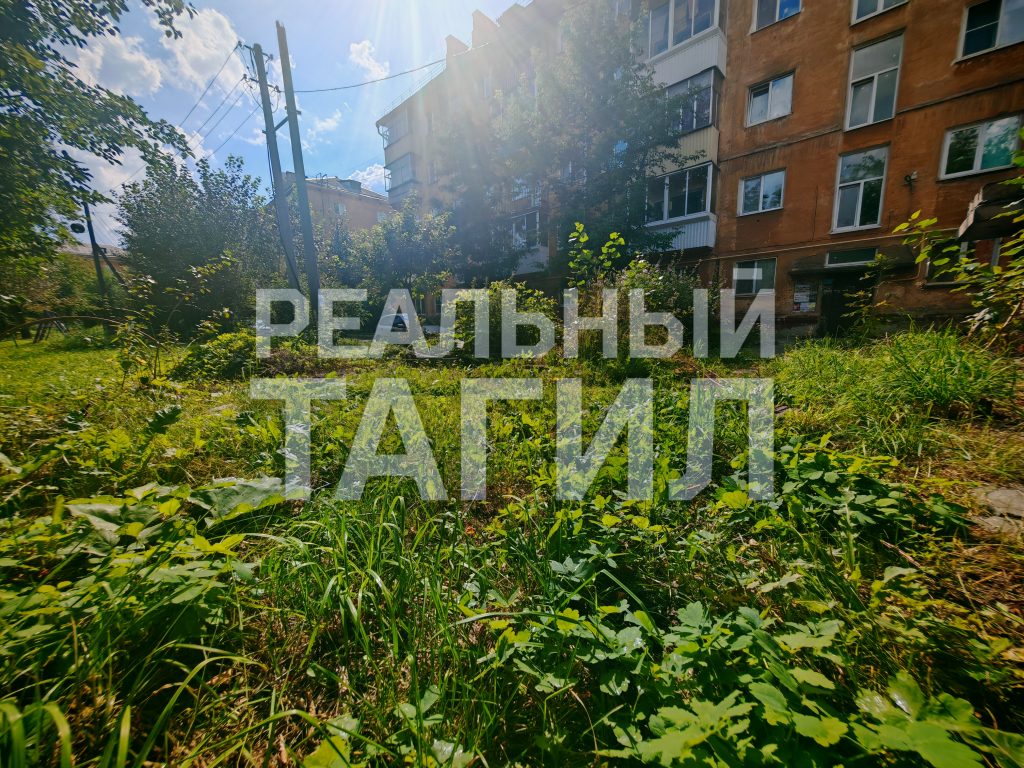 Тагильская мэрия «проворонила» центр города: заросли травы возмущают жителей - Жильцы многоквартирных домов выразили недовольство работой мэрии Нижнего Тагила из-за неудовлетворительного состояния придомовых территорий: в течение всего летнего периода не производился покос травы. Тагильская мэрия «проворонила» центр города: заросли травы возмущают жителей -