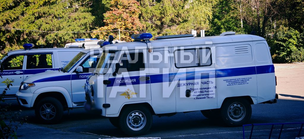 полиция МВД менты мусора ДПС ГИБДД ГАИ