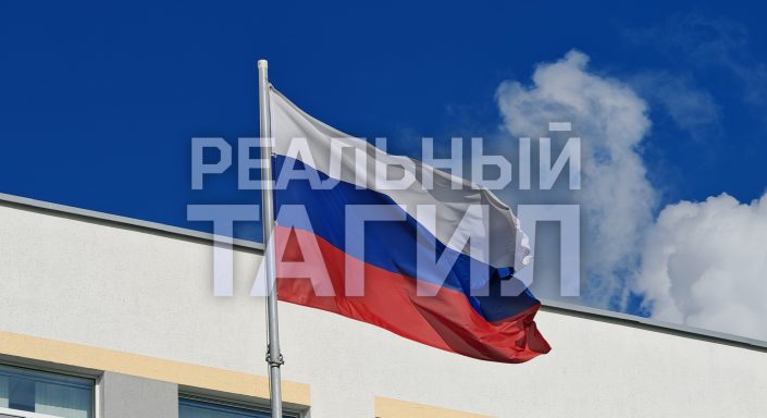 выборы голосование флаг России патриотизм патриот государство глава