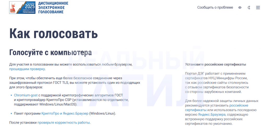 Выборы губернатора-2025: как проходит электронное голосование в Свердловской области -