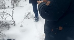 Росприроднадзор проверяет сброс сточных вод в реку на территории Черноисточинска -