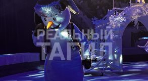 цирк представление манеж