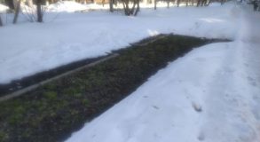 Тагил