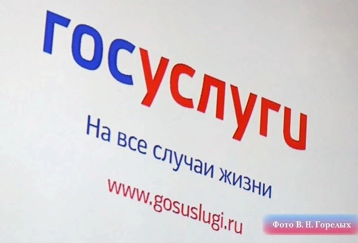 Горелых призвал свердловчан заблаговременно проверять загранпаспорт -