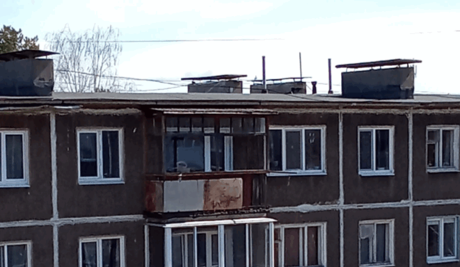 сокол дом