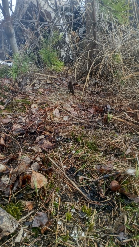 В ходе надзорного мероприятия выявлены остатки пенопласта на мысу Крутики - На берегу Черноисточинского пруда снова нашли остатки поплавка от пульпопровода. Он был сделан из пенопласта и использовался во время очистных работ дна водоёма. Общественный деятель Рамиль Хакимов сообщил, что на мысу Крутики вновь обнаружены фрагменты продуктов химической промышленности. В ходе надзорного мероприятия выявлены остатки пенопласта на мысу Крутики -