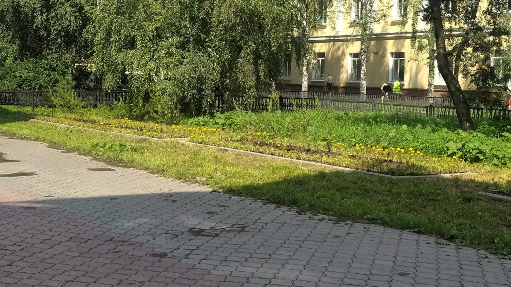 На улице Пархоменко расцвели клумбы после долгих жалоб -