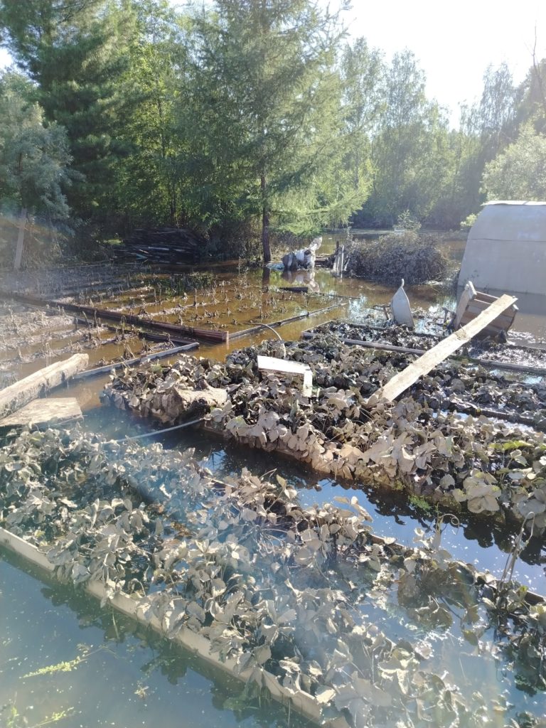 Урожай уничтожен, вода отравлена: тагильчане в СНТ «Шахтёр» потеряли всё - Вода, пришедшая в СНТ «Шахтёр», оставила после себя не просто грязь, а полностью уничтоженную инфраструктуру и погибший урожай, в связи с чем у пострадавших возникает резонный вопрос: как теперь жить и что делать с тем, что осталось от их садов и огородов? СНТ шахтер паводок