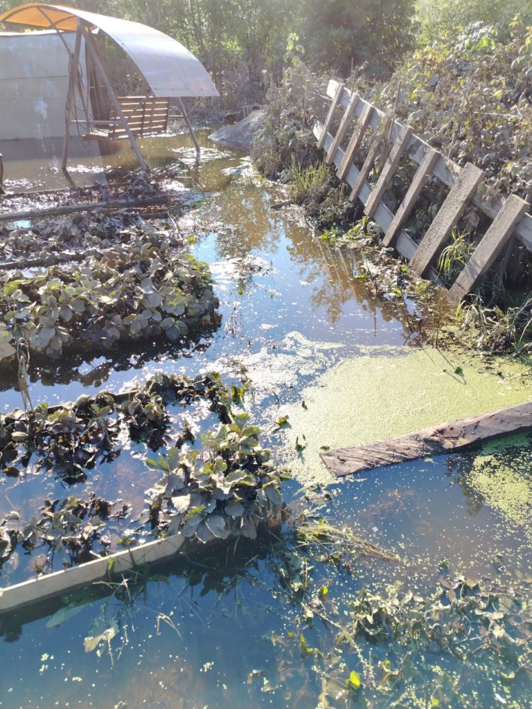Урожай уничтожен, вода отравлена: тагильчане в СНТ «Шахтёр» потеряли всё - Вода, пришедшая в СНТ «Шахтёр», оставила после себя не просто грязь, а полностью уничтоженную инфраструктуру и погибший урожай, в связи с чем у пострадавших возникает резонный вопрос: как теперь жить и что делать с тем, что осталось от их садов и огородов? СНТ шахтер паводок