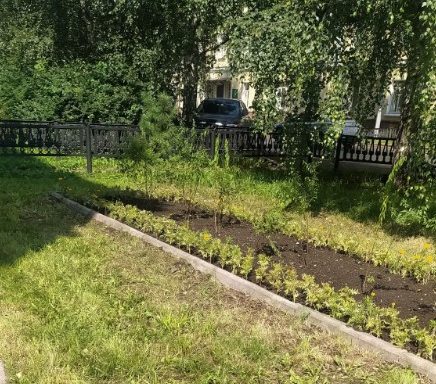 клумбы цветы тагил