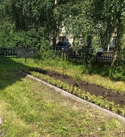 На улице Пархоменко расцвели клумбы после долгих жалоб -
