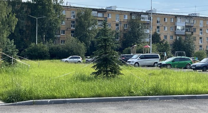 сибирская сквер тагил