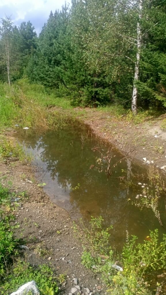 Десятки тысяч кубометров воды уходят в лес в Черноисточинске -