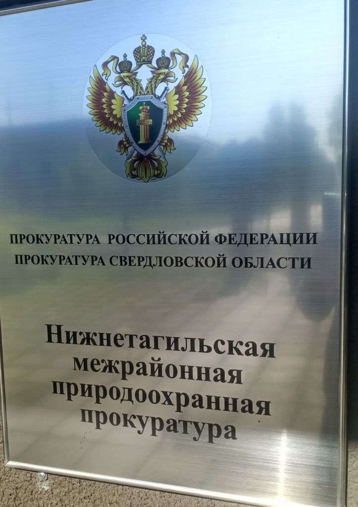 Активист просит прокуратуру разобраться в череде экологических нарушений в Черноисточинске - Хакимов просит прокурора провести проверку в Черноисточинске. Активист просит прокуратуру разобраться в череде экологических нарушений в Черноисточинске -