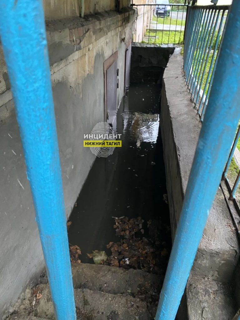Потоп в подвале дома в Тагиле стал источником тараканов - Тагильчане пожаловались на бездействие УК Потоп в подвале дома в Тагиле стал источником тараканов -