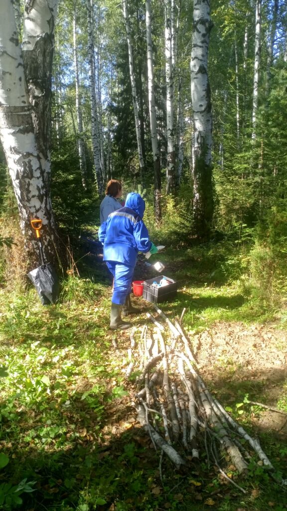 Минприроды, прокуратура и лесничество приехали в Черноисточинск из-за ущерба лесу -