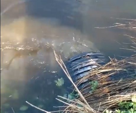 черноисточинск сточные воды водоканал-нт