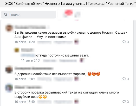 Лес стали массово вырубать под Нижним Тагилом - Люди обеспокоены вырубками лесов под Нижним Тагилом Лес стали массово вырубать под Нижним Тагилом -