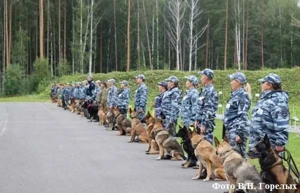 кинологи мвд горелых
