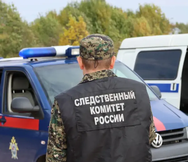 В Свердловской области следователи начали проверку после гибели пенсионера под колесами «Ласточки» - Центральное межрегиональное следственное управление на транспорте СК России выясняет обстоятельства смертельного инцидента, произошедшего на перегоне между станциями Ревда и Решеты. В Свердловской области следователи начали проверку после гибели пенсионера под колесами «Ласточки» -