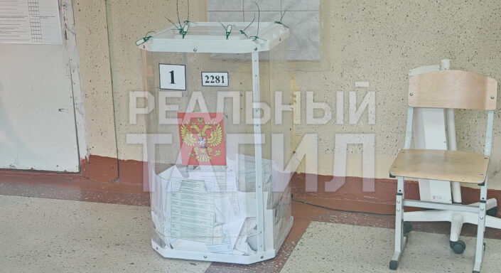 выборы голосование