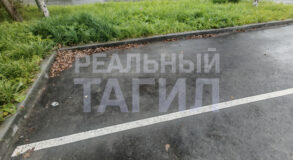 парковка
