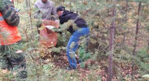 пенопласт черноисточинск