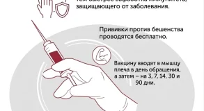 Роспотребнадзор назвал главных переносчиков бешенства -
