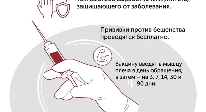 Роспотребнадзор назвал главных переносчиков бешенства -