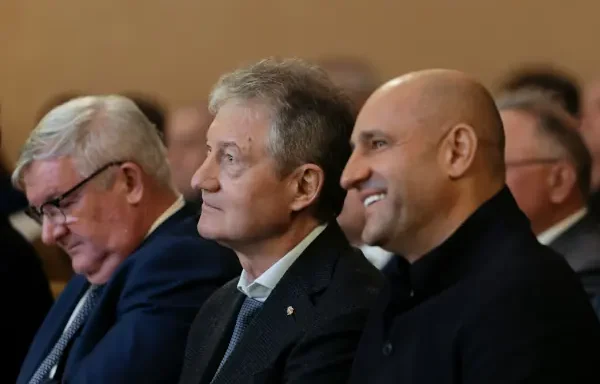 Козицын