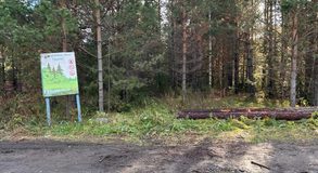 вырубка леса Антоновский Хакимов