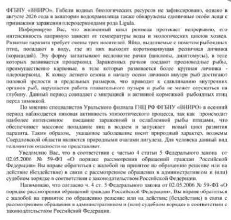 Ленточный червь поразил рыбу в Черноисточинском пруду - В Черноисточинске надзорные органы провели проверку по обращению местных жителей связанного с мором рыбы в местном пруду. Ленточный червь поразил рыбу в Черноисточинском пруду -