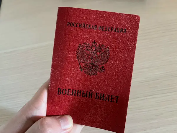 Более 350 тыс. россиян получили отсрочку без личной явки в военкомат -